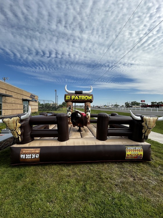 Mechanical bull
