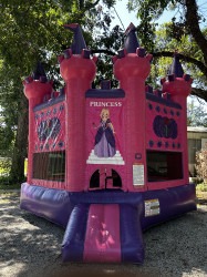 pink princess castle