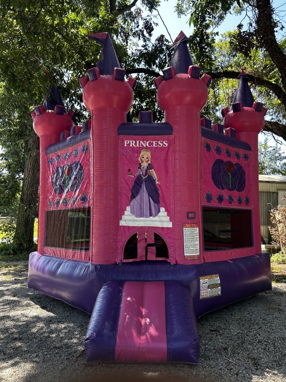 pink princess castle