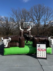 Extreme mechanical bull
